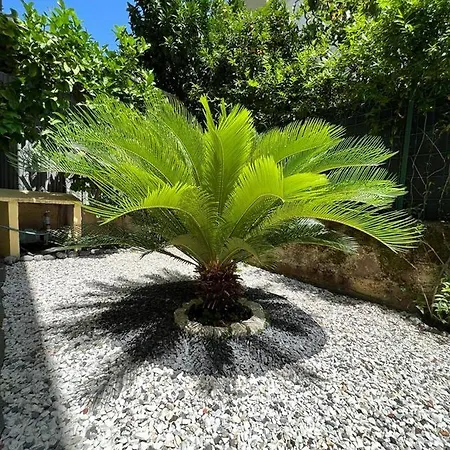 Villino Morena Holiday home *