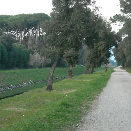 Villino Morena Holiday home Torre del Lago Puccini